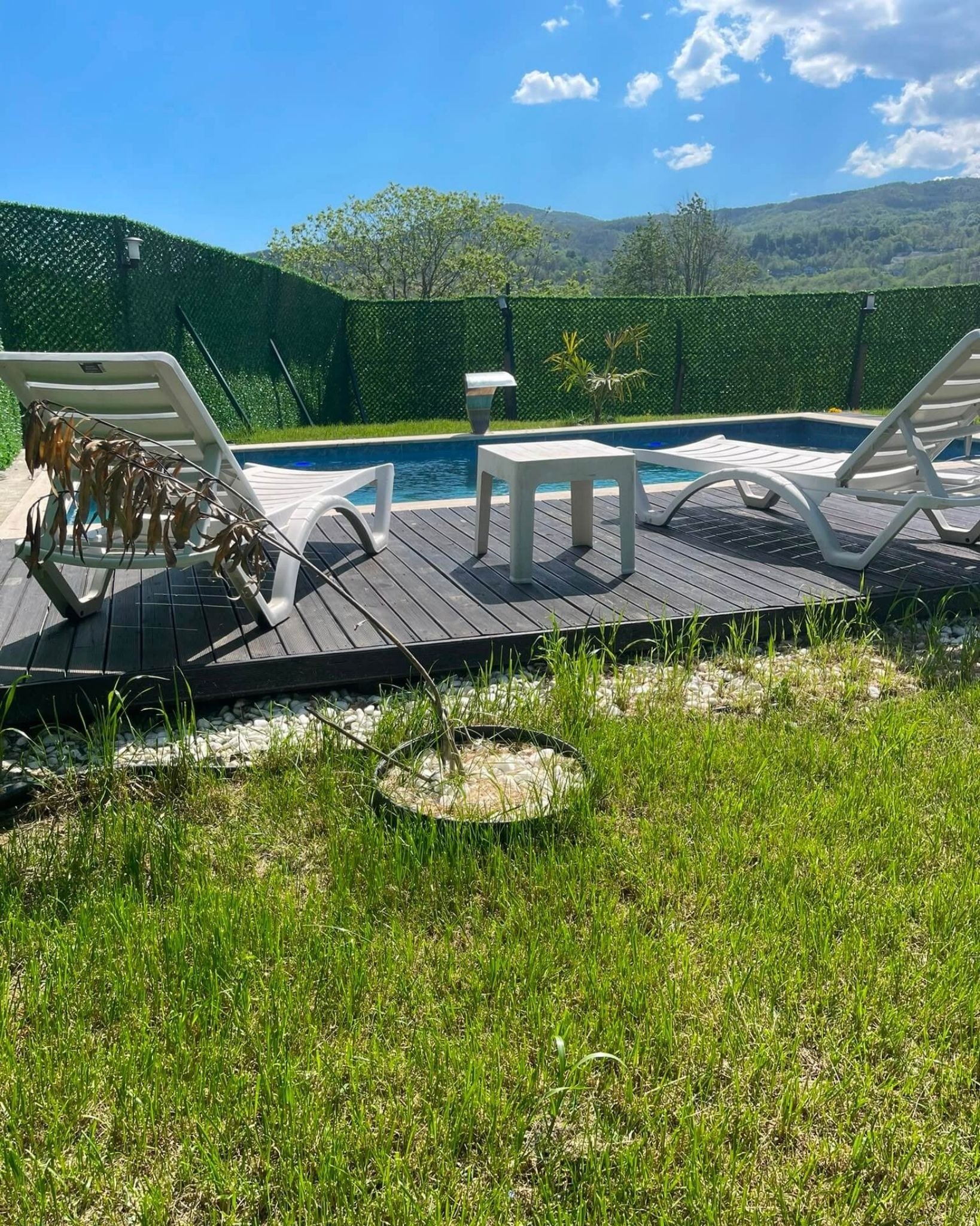 Sapanca Tatilinde Mahremiyet Neden Önemlidir? Korunaklı Bungalov Seçmenin Avantajları